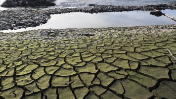 España se enfrenta a la sequía: qué pueden esperar los turistas?